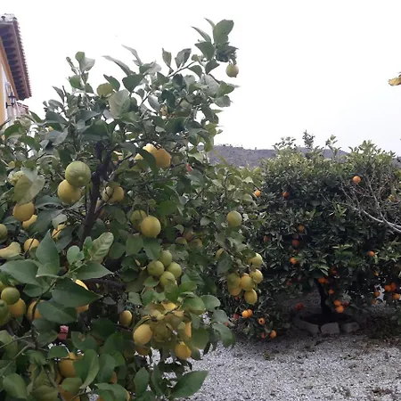 Bed and breakfast Colina Del Sol 3*