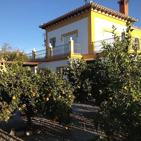 Bed & Breakfast Colina Del Sol